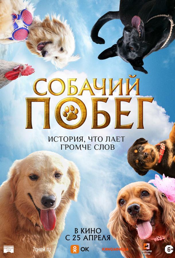 Фильм Собачий побег 2023 смотреть онлайн с Рошаном Мэтью и Индрансом
